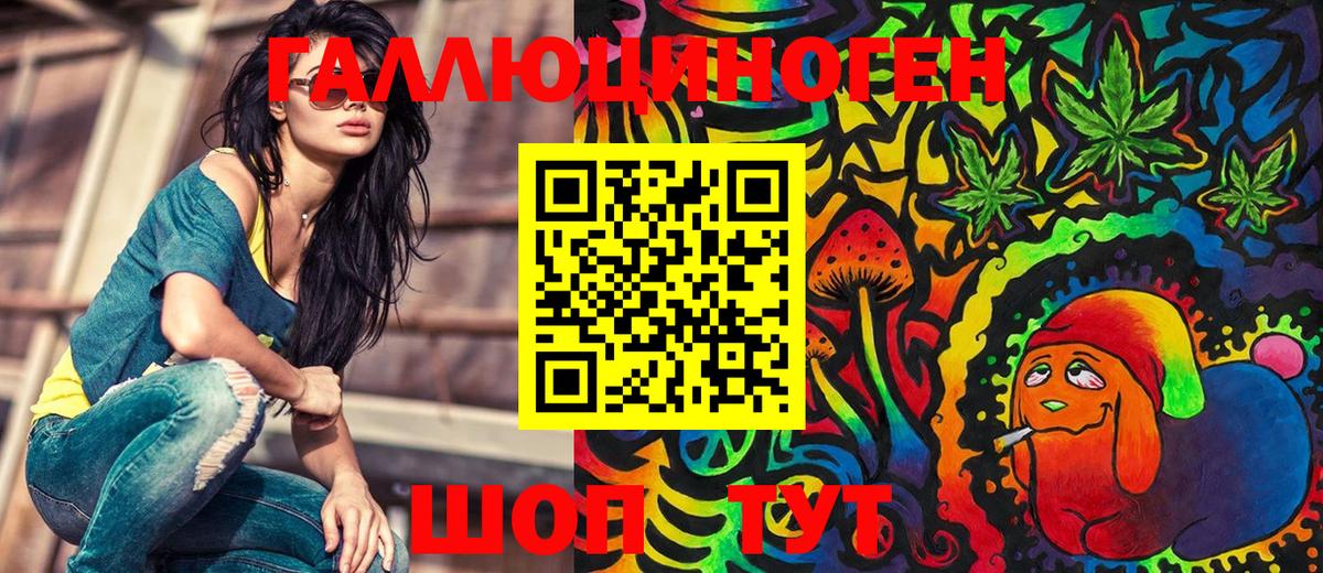 Анжеро-Судженск  Галлюциногенные грибы Cubensis  Вход с VPN 